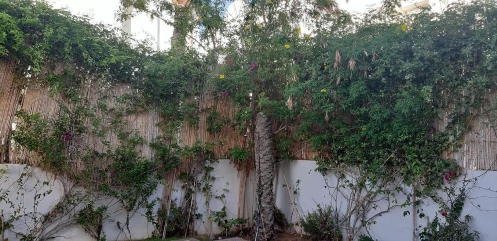 Villa avec piscine Triffa Esterno foto
